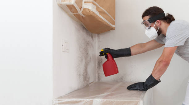 Professional Hvac And Air Duct Mold Remediation technician working in Roslyn, NY